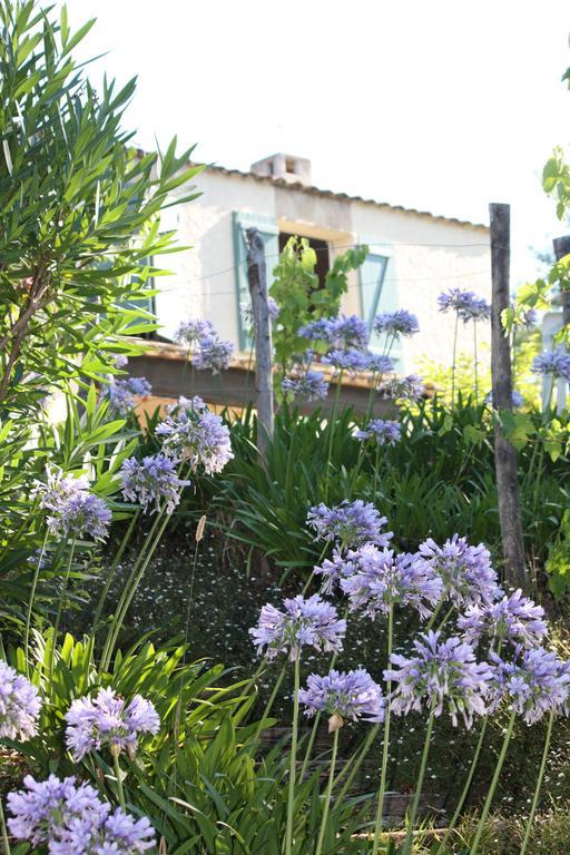 Ecole Buissonniere Apartamento Antibes