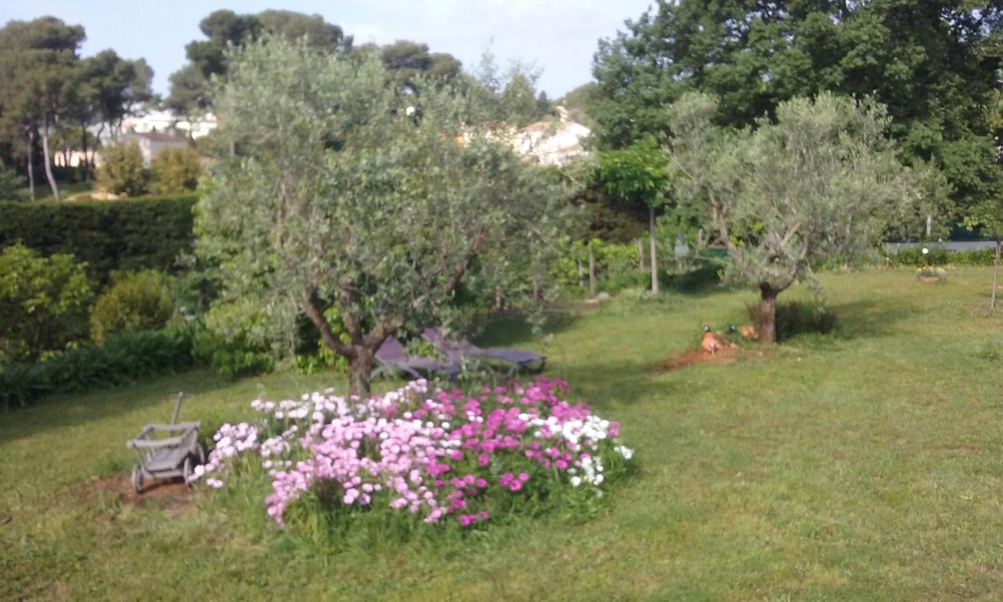 Ecole Buissonniere