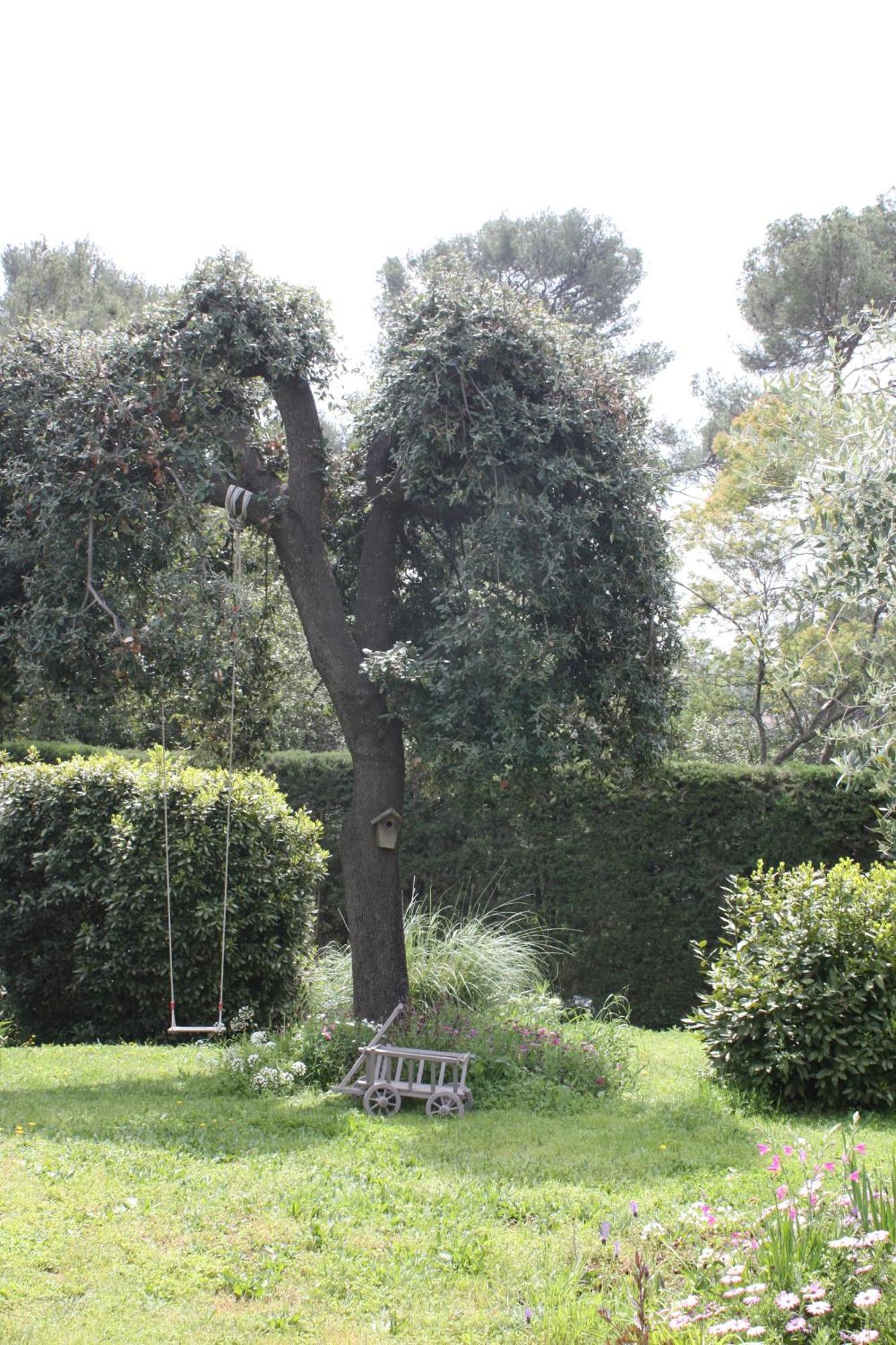 Ecole Buissonniere