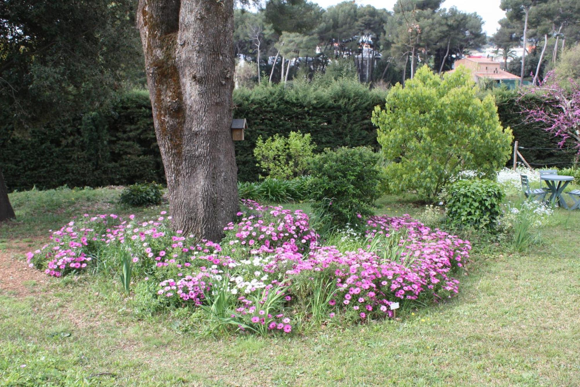 Ecole Buissonniere